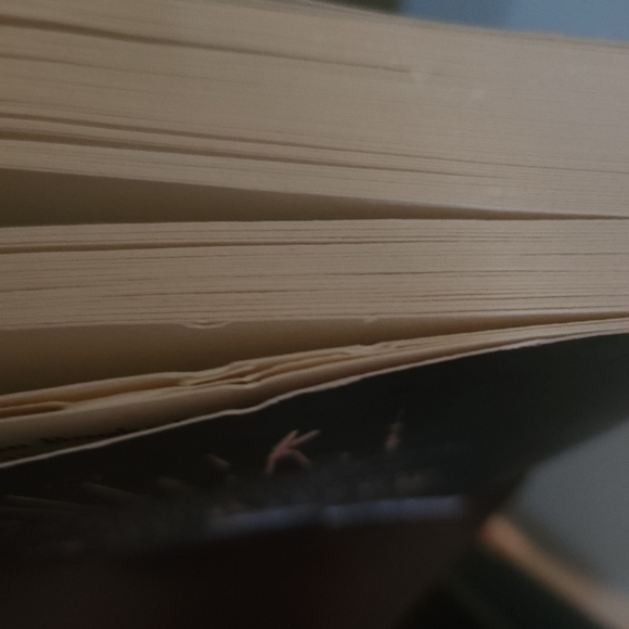 Kerri Maniscalco Stalking Jack The Ripper Paperback  Book - Picture 8 of 8